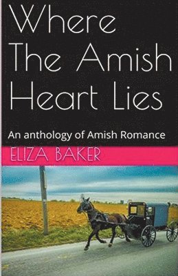 bokomslag Where The Amish Heart Lies