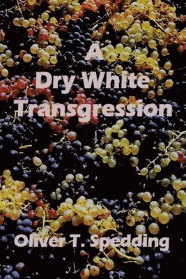 bokomslag A Dry White Transgression