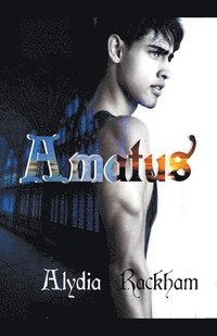 bokomslag Amatus
