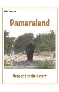 bokomslag Damaraland