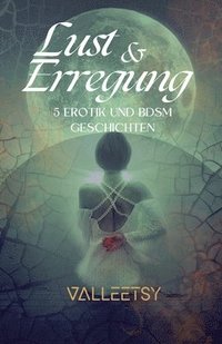 bokomslag Lust & Erregung 5 Erotik und BDSM Geschichten