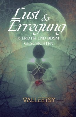 bokomslag Lust & Erregung 5 Erotik und BDSM Geschichten