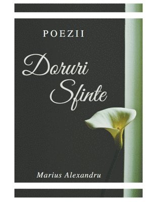 bokomslag Doruri Sfinte-Poezii