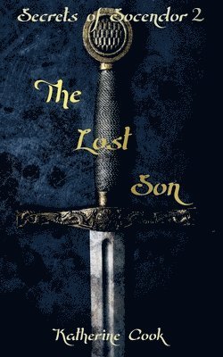 Katherine Cook - Lost Son, Häftad