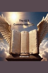 bokomslag The 613 Commandments