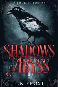 bokomslag Shadows Abyss