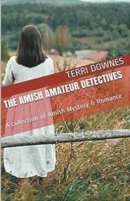 bokomslag The Amish Amateur Detectives