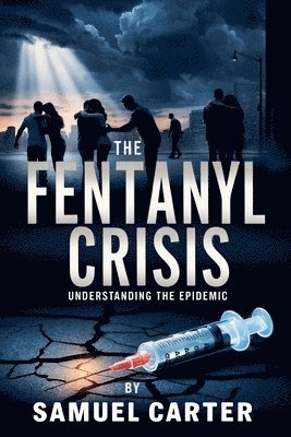 bokomslag The Fentanyl Crisis