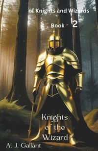 bokomslag Knights of the Wizard