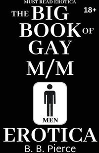 bokomslag The BIG BOOK of Gay M/M Erotica