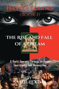 bokomslag Hayti's Echoes: The Rise and Fall of a Dream