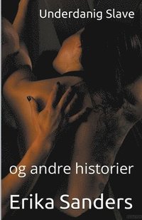 bokomslag Underdanig Slave og andre historier