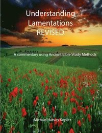 bokomslag Understanding Lamentations - Revised