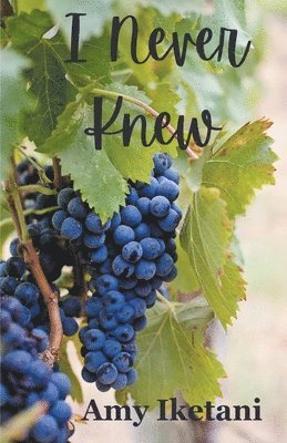 Amy Iketani - I Never Knew, Häftad