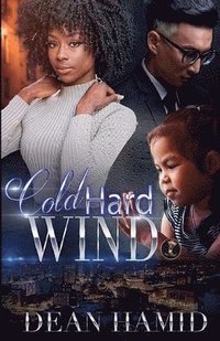 bokomslag Cold Hard Wind