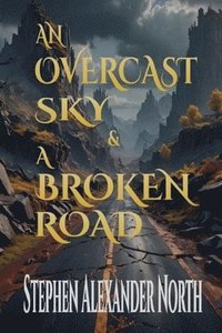 bokomslag An Overcast Sky & A Broken Road