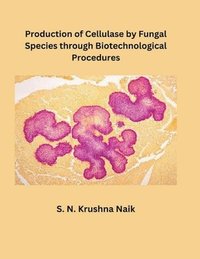 bokomslag Production of Cellulase by Fungal Species through Biotechnological Procedures