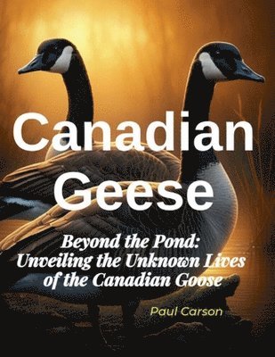 bokomslag Canadian Geese