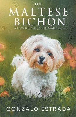 The Maltese Bichon 1