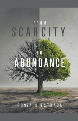 From Scarcity to Abundance 1