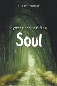 bokomslag Mysteries of the Soul
