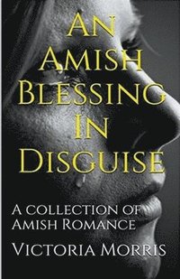 bokomslag Amish Blessing In Disguise