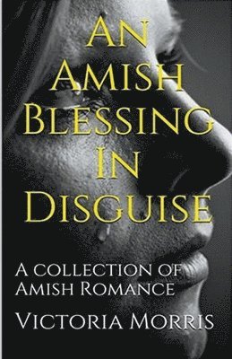 bokomslag Amish Blessing In Disguise