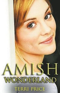 bokomslag Amish Wonderland