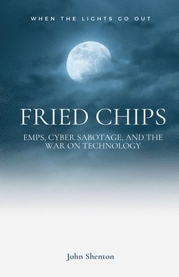 Fried Chips 1