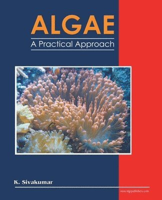 bokomslag Algae