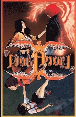 bokomslag Fire Angel