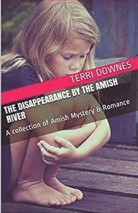 bokomslag Disappearance By The Amish River