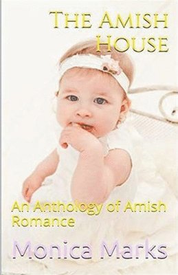 Amish House 1
