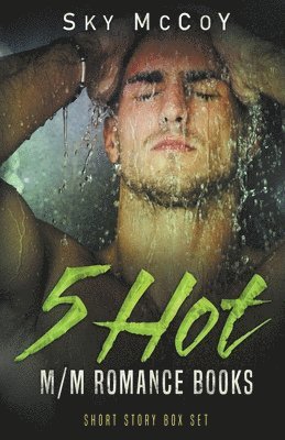 bokomslag 5 Hot M/M Romance Books