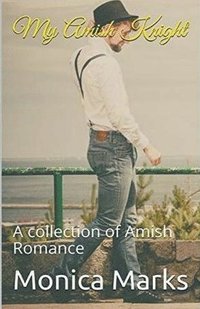 bokomslag My Amish Knight