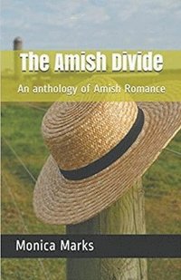 bokomslag Amish Divide An Anthology of Amish Romance