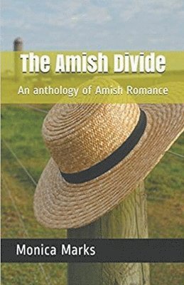 bokomslag Amish Divide An Anthology of Amish Romance