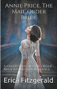 bokomslag Annie Price The Mail Order Bride