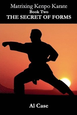 Matrixing Kenpo Karate 1