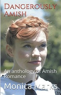bokomslag Dangerously Amish An Anthology of Amish Romance