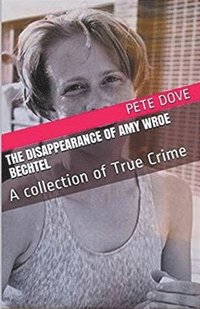 bokomslag The Disappearance of Amy Wroe Bechtel