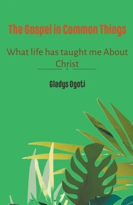 bokomslag Gospel In Common Things
