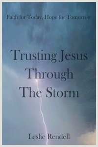 bokomslag Trusting Jesus Through The Storm