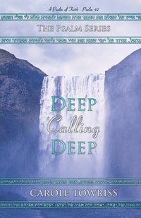 bokomslag Deep Calling Deep