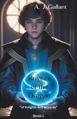 bokomslag Knights of the Dragon