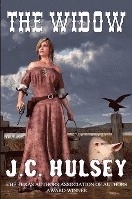 J C Hulsey, J. C. Hulsey, J.C. Hulsey - Widow, Häftad