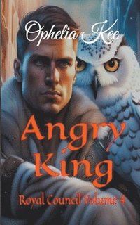 bokomslag Angry King