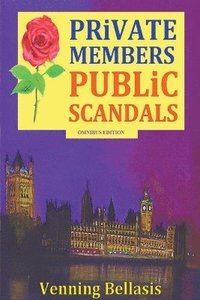 bokomslag Private Members, Public Scandals