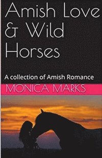 bokomslag Amish Love & Wild Horses