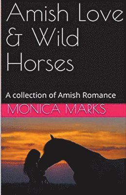 bokomslag Amish Love & Wild Horses